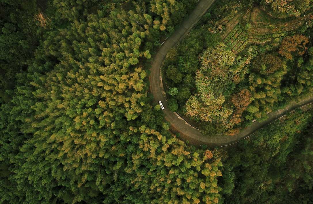 Lone car drives on mountain road in the trees