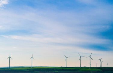 Windmills in green field with blue sky