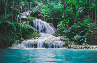 Tropical waterfall surrounded by trees