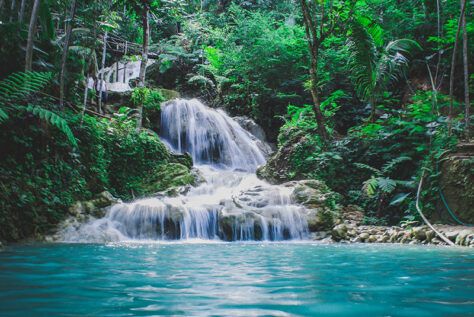 Tropical waterfall surrounded by trees