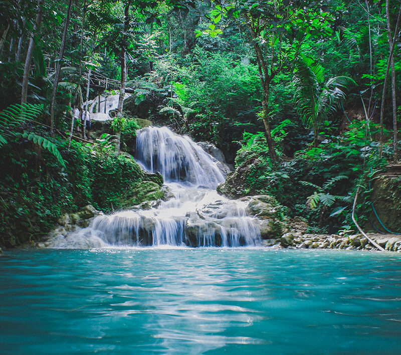 Tropical waterfall surrounded by trees