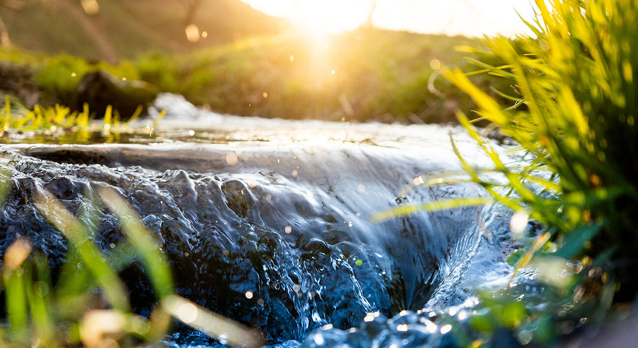 Small waterfall near grassy plants with sunlight in background