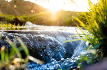 Small waterfall near grassy plants with sunlight in background